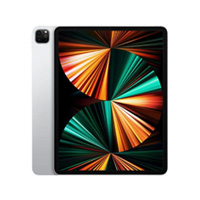 Apple iPad Pro 11-in. 3rd Gen Wi-Fi + Cellular 2TB